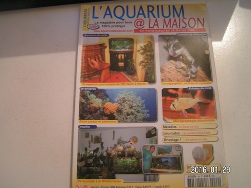 Aquarium à la - à, maison