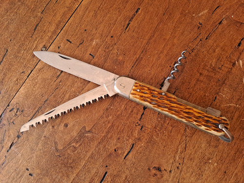 Grand bargeon chasse scie - grand, chasse,