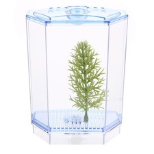  Boîte D'élevage De Guppys Aquarium Pour Poissons Transparent