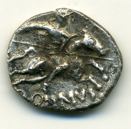 Rare allée du - (4067),