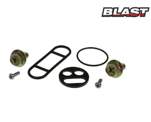 Suzuki gsf bandit 1200 kit - bandit,