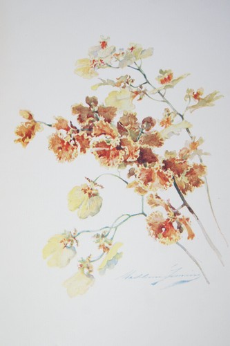 Madeleine lemaire gravure - madeleine,
