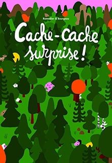 Cache surprise livre - cache-cache,