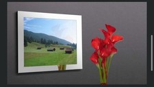 Télévision Miroir AGATH T232 81cm Hôtellerie De Luxe Occasion En Très Bon État