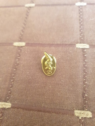 Pins disney cast member ans - member,