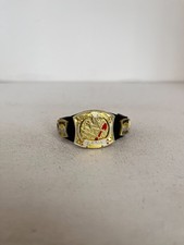 Wwe Centrifugeuse Championnat