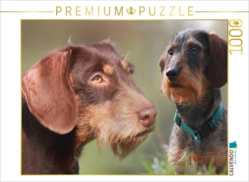 Puzzle calvendo race canine - calvendo,