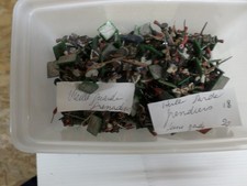 40 soldats napoléon waterlo  vieille garde  Prince August