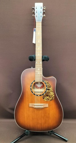 Guitare acoustique électrique