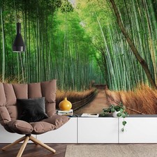 Grand Papier Peint Décor Mural De Chambre Forêt De Bambou Botanique Verte