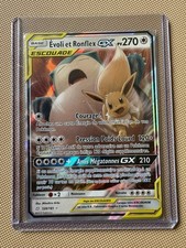 🇫🇷 Escouade evoli