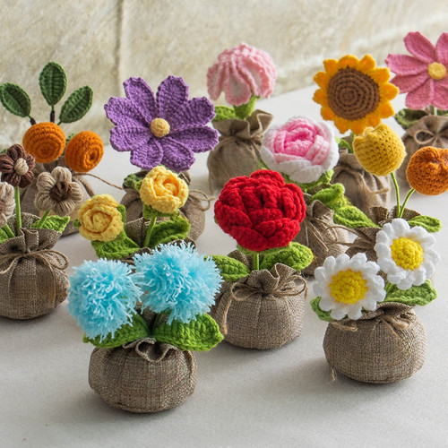 Plante pour pot - pot, de