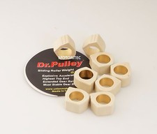 Dr Pulley Roller 30x18 SR3018