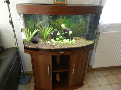 Aquarium juwel vision 180 - vision,