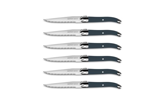 Set knives laguiole - knives,