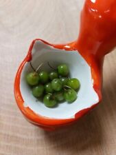 Hierba Mora - Solanum macrotonum - 10+ graines - Graines - Graines - So 095