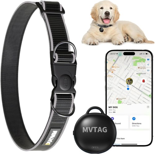 Collier gps pour chien avec - collier,