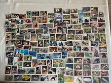 IMAGE PANINI AUTOCOLLANT