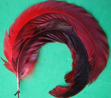 plume artificielles en éventail rouge/grenat