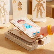 Jeu d'anatomie du corps