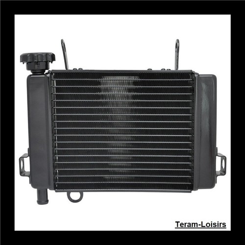 Radiateur pour honda cbr 125 - pour,