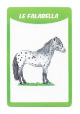 Carte 50 races de chevaux - Le
