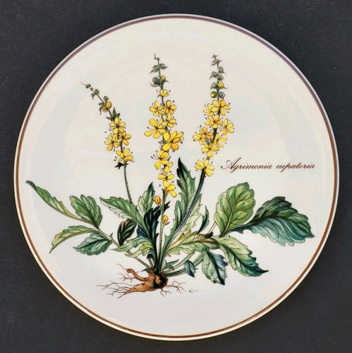 Très joli dessous - dessous, plat