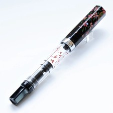 Stylo plume TWSBI ECO BUNGUBOX