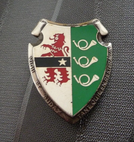 Insigne militaire regiment - 3°,