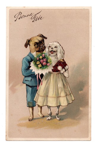 Chiens humanisés habillés - et,