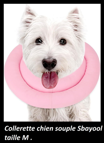 Collerette chien souple