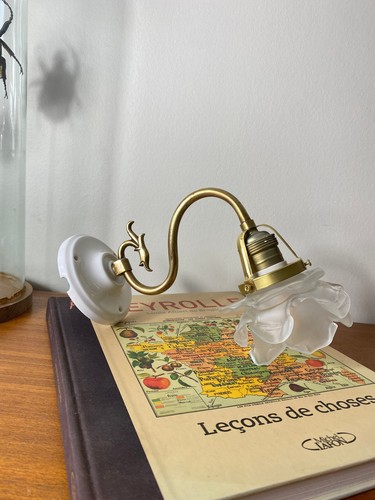 Applique col cygne laiton - cygne,