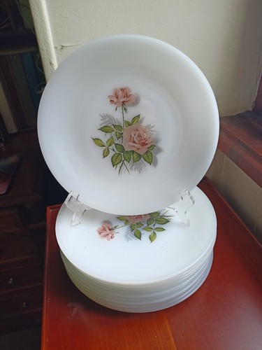 Lot assiettes plates - 12,