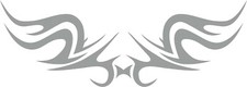 Tatou vitre et voiture wings