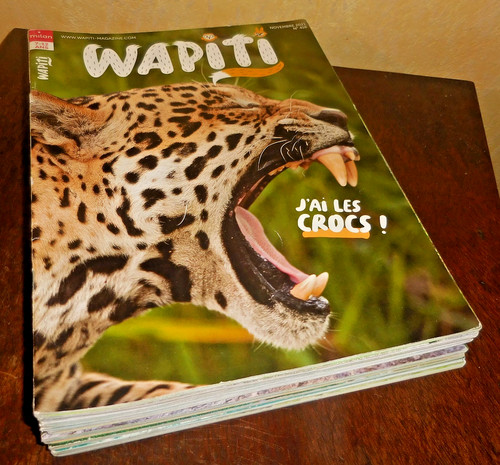 Lot magazines wapiti milan - magazines,