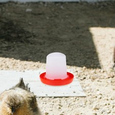  Abreuvoir Automatique Poule