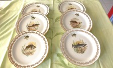 6 Assiettes  Porcelaine décor