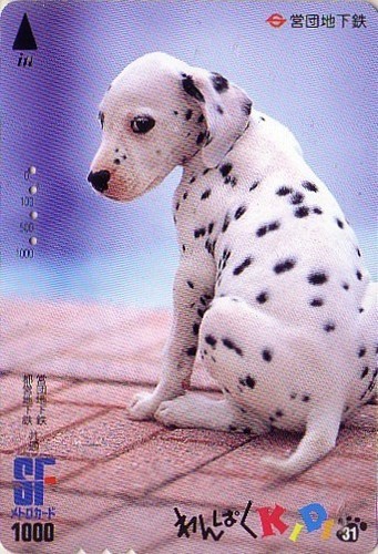 Carte japon série animal - carte,