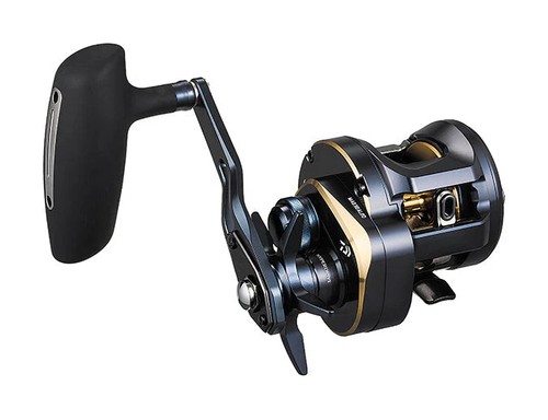 Daiwa 2025 saltiga 300 - 2025,