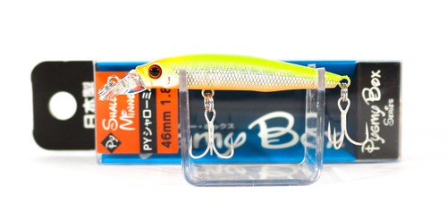 Jackson pygmy shallow - jackson,