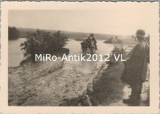 Photo, chevaux de Panjep avec