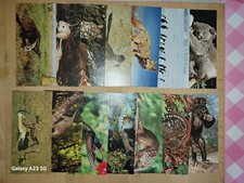 25 Cartes Merveilles du monde