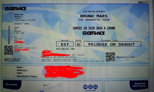 Billet pelouse concert - 1,