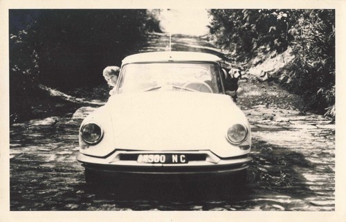 Ancienne photographie - ancienne,