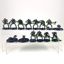 x14 Guerriers + Scarabés