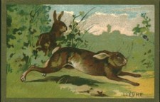 Image ancienne chromo le