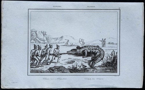 1837 chasse l alligator - -, à