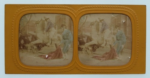 Photographie albuminée