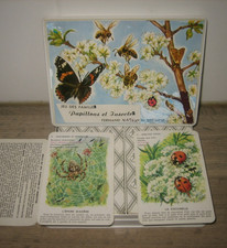 Ancien Jeu de 12 Familles