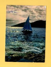 Voilier   ......    (Ref. L9846)